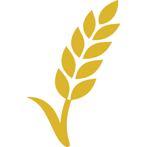 zboże